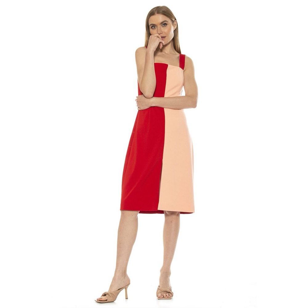Alexia Admor. Marissa Colorblock Dress. Red/Blush. Size Small.